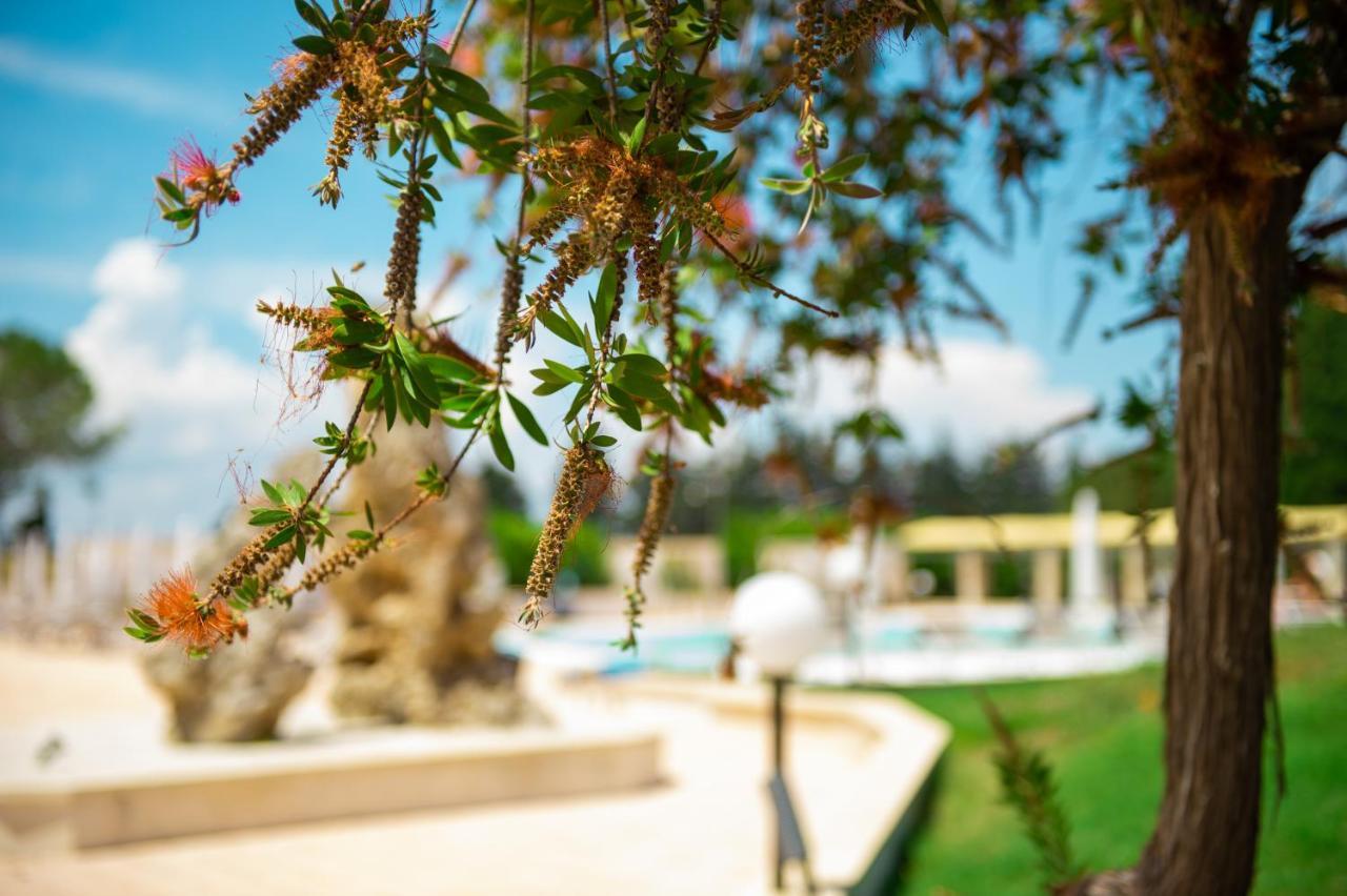 Villa Conca Marco Torre dell'Orso Ngoại thất bức ảnh